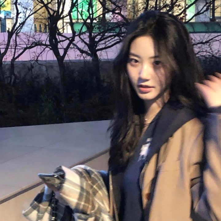 易布拉辛先生和古兰经的花